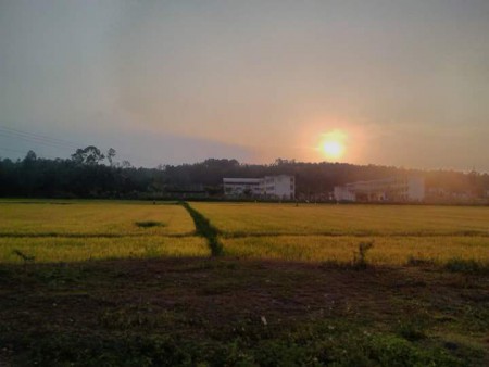 [Thơ] Nhớ 